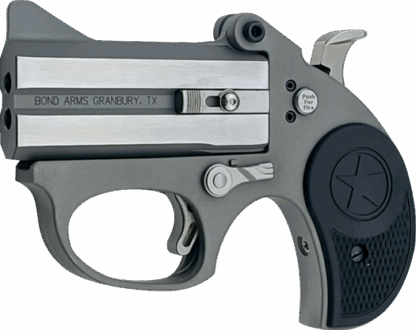 Vícehlavňová pistole Bond Arms Stinger, ráže .22 LR